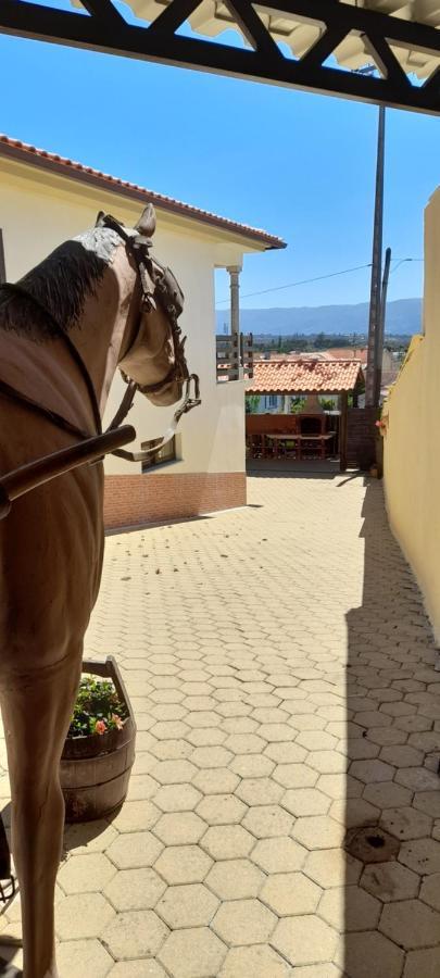 Apartmán Solar Do Madala Seixo da Beira Exteriér fotografie